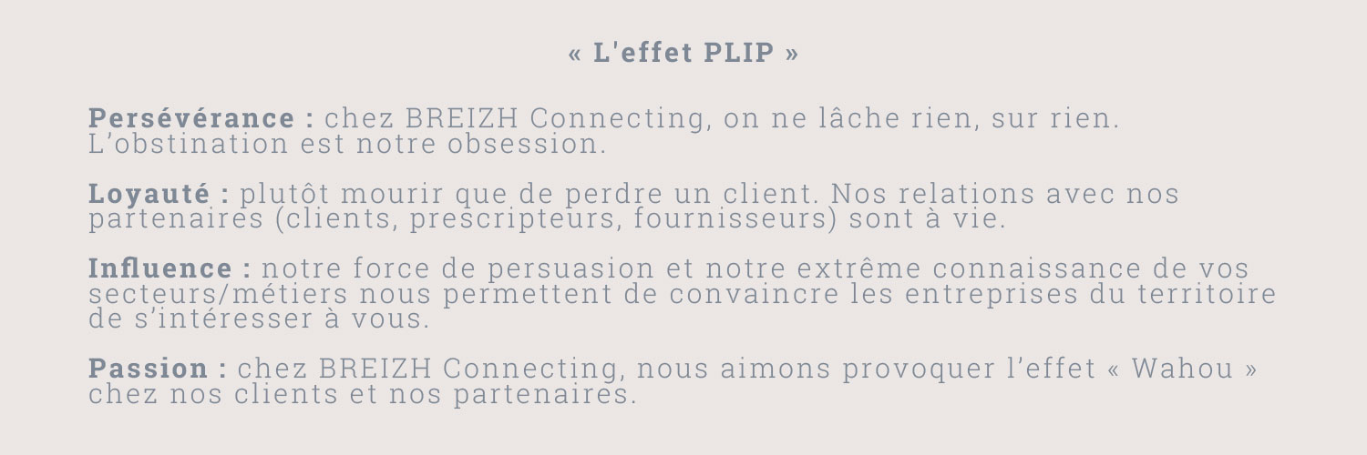 Persévérance : Chez BREIZH Connecting, on ne lâche rien, sur rien. L’obstination est notre obsession. LoyautéPlutôt mourir que de perdre un client. Nos relations avec nos partenaires (clients, prescripteurs, fournisseurs) sont à vie. Influence : Notre force de persuasion et notre extrême connaissance de vos secteurs/métiers nous permettent de convaincre les entreprises du territoire de s’intéresser à vous. Passion : Chez BREIZH Connecting, nous aimons provoquer l’effet « Wahou » chez nos clients et nos partenaires.