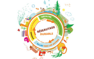 Le réseautage durable et responsable, un art à maîtriser